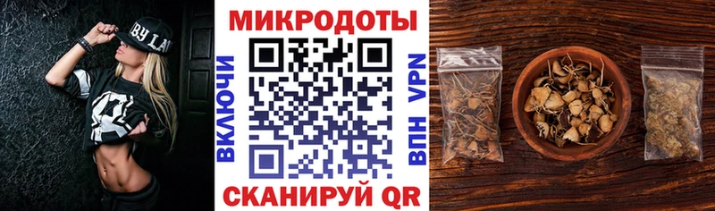 Галлюциногенные грибы Psilocybe  Саянск 